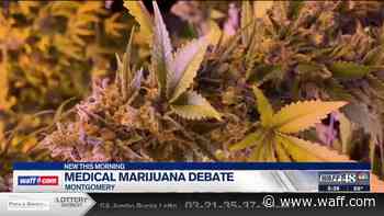 Medical marijuana debate continues for Alabama lawmakers - WAFF