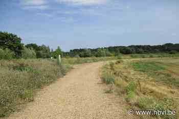 Fietspad van Kessenich naar Thorn krijgt verharding - Het Belang van Limburg