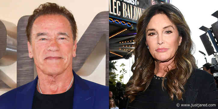 Arnold Schwarzenegger Shares His Thoughts on Caitlyn Jenner's Chances of Winning Governor of California