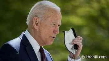 Biden says he intends to share coronavirus vaccine doses with India
