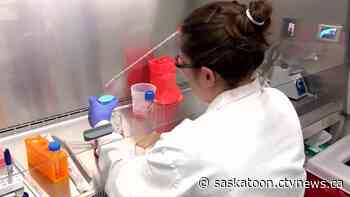 Surge in COVID-19 levels found in Saskatoon sewage could signal 'rapid' case spike is coming - CTV Toronto