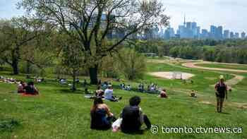 Toronto rejects proposed plan to allow drinking in parks this summer