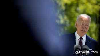 White House: No decision yet on vaccine patent waiver