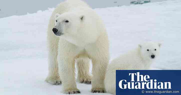 How a hi-tech search for Genghis Khan is helping polar bears