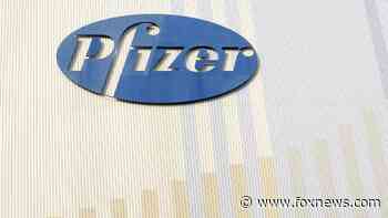 Pfizer CEO predicts coronavirus oral antiviral pill ready ‘by end of year’ - Fox News