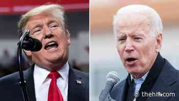 Biden's first 100 days is stylistic 'antithesis' of Trump