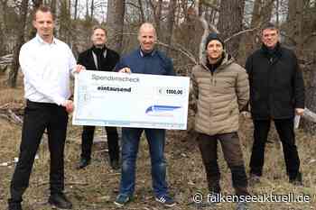 Projekt Kreuzotter in Falkensee & Schönwalde-Glien: 1000 Euro für die Erhaltung der Kreuzotter-Habitate! - FALKENSEE.aktuell - falkensee aktuell