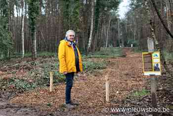 Verwaarloosd bosje in Essense Susannalaan opgewaardeerd - Het Nieuwsblad