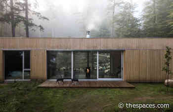 Hinterhouse brings Japandi ‘headspace’ architecture to the Canadian forest - The Spaces