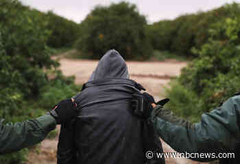 DHS launching new operation to stop human smuggling groups at southern border