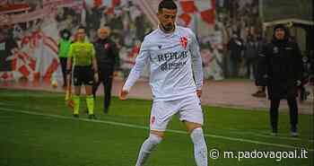 Matelica – Padova, multa di 500 euro per Firenze per espressione blasfema - Padova Goal