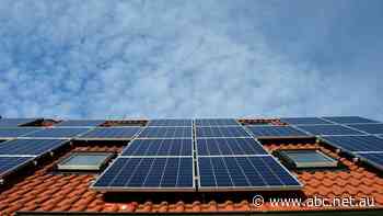 Expert warns proposal to charge households with solar panels to export electricity will kill demand