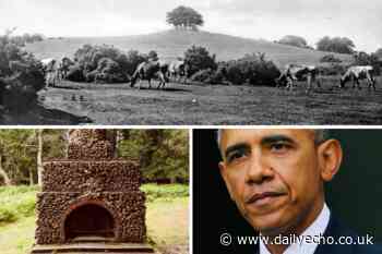A brief history of the New Forest - Daily Echo