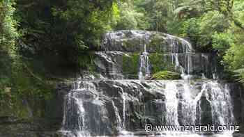 GO NZ: Staying in a Forest and Bird hut in Lenz Reserve, the Catlins - New Zealand Herald