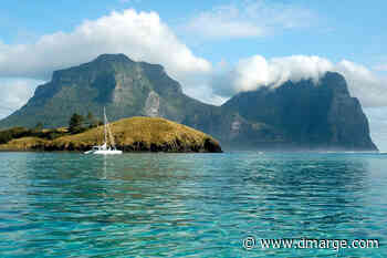 Rare Australian 'Cloud Forest' Bursts Back To Life - DMARGE