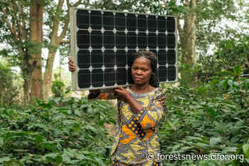 How would a forest-based circular bioeconomy in sub-Saharan Africa ensure local wellbeing? - CIFOR Forests News - Forests News, Center for International Forestry Research