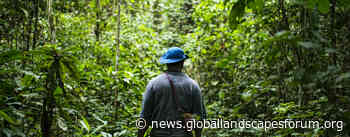 6 guiding principles for successful restoration of tropical forest landscapes - Landscape News