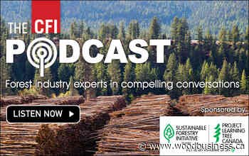 The CFI Podcast: Paul Johnson on SFI's new Urban & Community Forest Sustainability Standard - Wood Business - Canadian Forest Industries