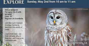 Whooo's In That Forest? - BC | Globalnews.ca - CKNW News Talk 980