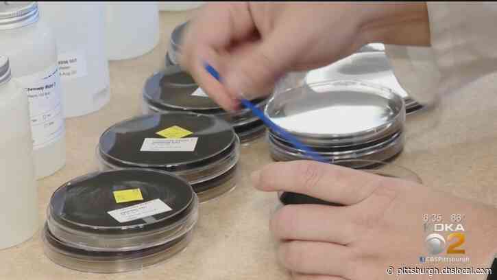 Legionella Bacteria Found In 2 Sinks At West Virginia Hospital