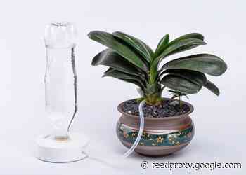 Indoor automatic houseplant drip watering system