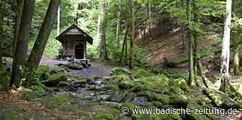 Uriger Wald hilft dem Tourismus - Steinen - Badische Zeitung