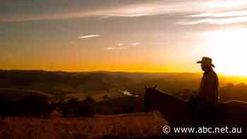 Rupert Murdoch's farm signs $500K carbon deal with Microsoft