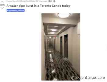 Burst pipe in Toronto condo building 'catastrophic failure' - Toronto Sun
