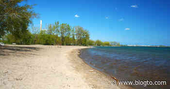City of Toronto confuses people by blocking off parking at popular beach - blogTO