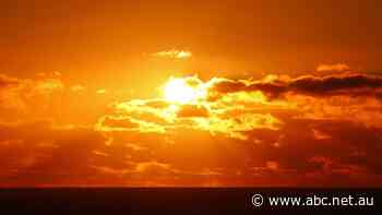 SA records another energy milestone as wholesale prices enter negative territory