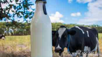 Five years since the Australian dairy industry's darkest day
