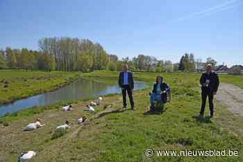 Drie gemeenten promoten samen wachtbekken Heistergem: “Een van de mooiste natuurgebieden van de streek” <BR />
