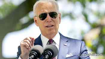 85 percent of Democrats give Biden an A or B for first 100 days