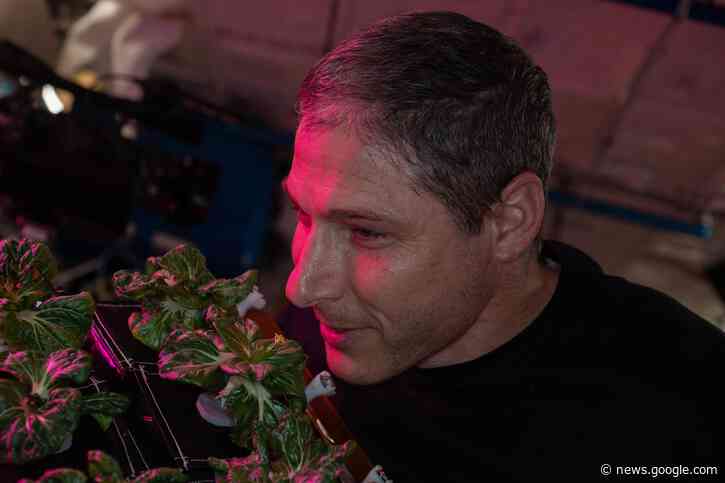 NASA Astronaut Paints a Picture of Success Growing Plants in Space - NASA