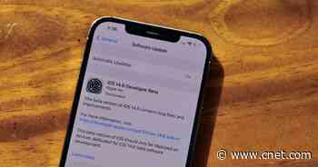 iOS 14.6: Apple's beta adds a significant tool for developers     - CNET