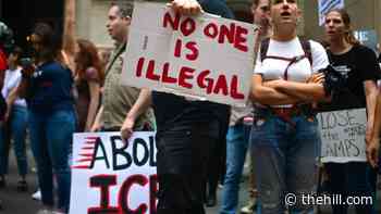 Immigration advocates push for pathway to citizenship with $50M campaign