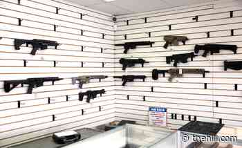 Fewer Americans prioritizing new gun laws compared to peak after Parkland shooting: poll
