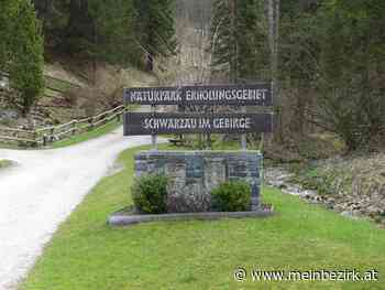 Frühlingserwachen im Naturpark Schwarzau im Gebirge - Neunkirchen - meinbezirk.at
