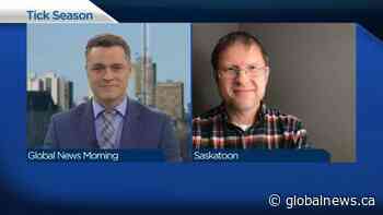 Tick talk: what you need to know as tick season begins