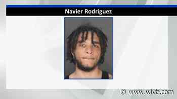 Man accused of hitting, throwing puppy near Front Park