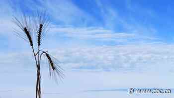 Ottawa's promising a tax credit for carbon capture — but is the tech worth the money?