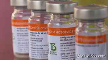 Visconde do Rio Branco suspende aplicação da segunda dose da CoronaVac por falta da vacina - G1