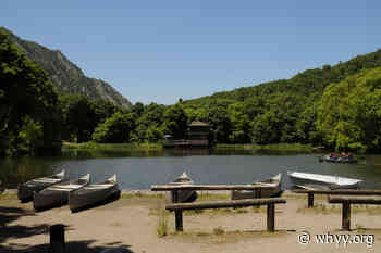 Coronavirus update: NJ day and sleepaway camps to return - WHYY