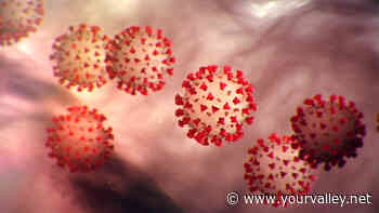 Coronavirus cases up 452 in a week in Mesa - Your Valley