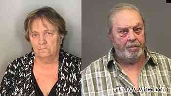 Albany County couple charged after dog shot in the head had to be euthanized