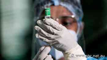 India's second coronavirus wave causing global 'crisis' as COVID-19 vaccine supplies disrupted - ABC News