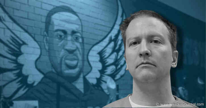 The Chauvin Trial: Episodes from the Trial of the Decade