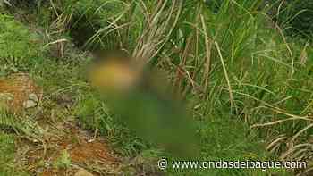 Macabro hallazgo: aparece cadáver de un hombre en zona rural de Palocabildo - Ondas de Ibagué