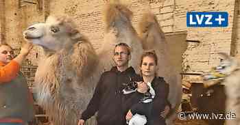 Kein Gastspiel in Oschatz: Zirkus Alexander ist im Winterquartier und von Existenz bedroht - Leipziger Volkszeitung