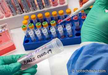 COVID Variant P.1 Is More Transmissible and More Lethal